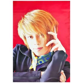 T.M.Revolution(西川貴教) ポスター 初期 B1 特大