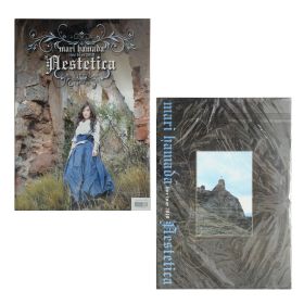 浜田麻里(はまだまり) その他 パンフレット Mari Hamada Live In Tokyo 2010 "Aestetica"