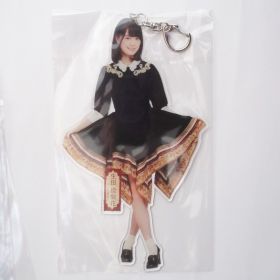 乃木坂46(のぎざか) その他 生田絵梨花 全身アクリルデカキーホルダー 今、話したい誰かがいる アクリルキーホルダー アクキー　