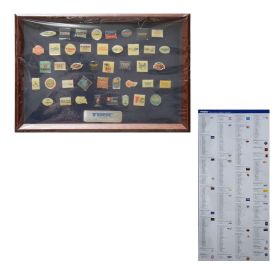 TUBE(チューブ) 限定販売 20周年 ピンバッジセット メモリアルBOX ピンズ