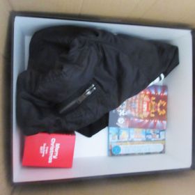 ゆず(YUZU) その他 20周年記念プレミアムBOX ゆずのみ ゆずイロハ Blu-ray クリスチャンダダ MA-1 スノードーム