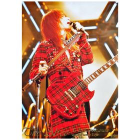 THE ALFEE(ジ・アルフィー) ポスター 高見沢俊彦 Punks Life ESP ギター