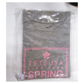 L'Arc～en～Ciel(ラルク) TETSUYA ドルマンTシャツ グレー LIVE 2020 SPRING