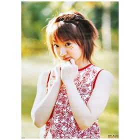 水樹奈々(NANA) ポスター CD MAGIC ATTRACTION 特典