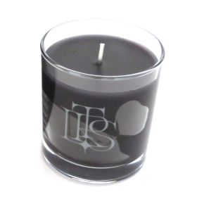 THE LAST ROCKSTARS(YOSHIKI HYDE SUGIZO MIYAVI) Live Debut 2023 TLRS キャンドル