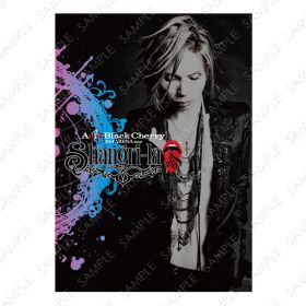 acid black cherry(abc) tour 『Shangri-la』 Encore Season & Final Season パンフレット