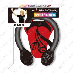 acid black cherry(abc) tour 『Shangri-la』 Encore Season & Final Season ストレッチャー(ハード)黒