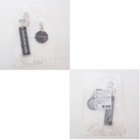 ポルノグラフィティ(porno) 13thライヴサーキット “ラヴ・E・メール・フロム・1999” REMOVE BEFORE LAUNCHキーリング