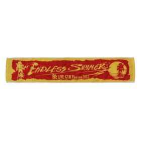 B'z(ビーズ) LIVE-GYM Pleasure 2013 -ENDLESS SUMMER- マフラータオル
