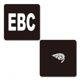 私立恵比寿中学(エビ中) Luck To The Future EBCリストバンド