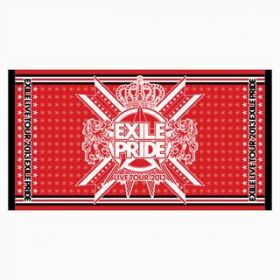 EXILE(エグザイル) EXILE LIVE TOUR 2013 “EXILE PRIDE” 追加公演 EXILE PRIDE ビーチタオル