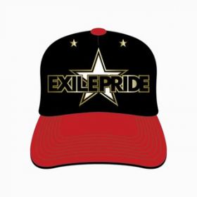 EXILE(エグザイル) EXILE LIVE TOUR 2013 “EXILE PRIDE” 追加公演 EXILE PRIDE CAP
