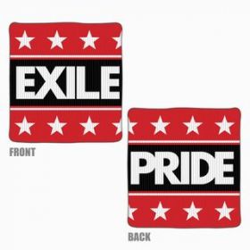 EXILE(エグザイル) EXILE LIVE TOUR 2013 “EXILE PRIDE” 追加公演 EXILE PRIDE リストバンド