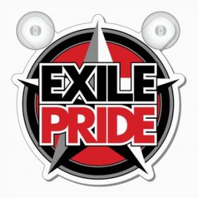 EXILE(エグザイル) EXILE LIVE TOUR 2013 “EXILE PRIDE” 追加公演 EXILE PRIDE カーサイン