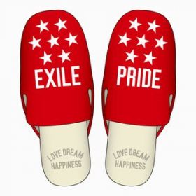 EXILE(エグザイル) EXILE LIVE TOUR 2013 “EXILE PRIDE” 追加公演 スター ルームシューズ