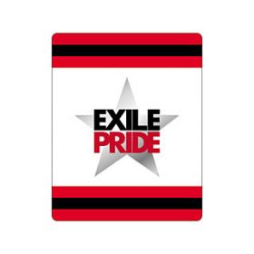 EXILE(エグザイル) EXILE LIVE TOUR 2013 “EXILE PRIDE” EXILE PRIDE リストバンド