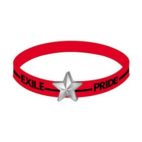 EXILE(エグザイル) EXILE LIVE TOUR 2013 “EXILE PRIDE” EXILE PRIDE ゴムブレス　レッド