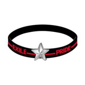 EXILE(エグザイル) EXILE LIVE TOUR 2013 “EXILE PRIDE” EXILE PRIDE ゴムブレス　ブラック