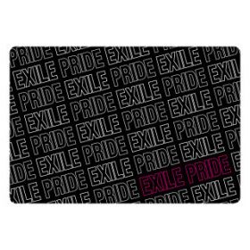 EXILE(エグザイル) EXILE LIVE TOUR 2013 “EXILE PRIDE” グラフィック　サンシェード