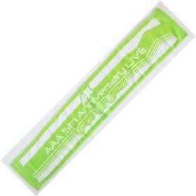 AAA(トリプルエー) AAA 5th Anniversary LIVE 復刻カラータオル(緑)