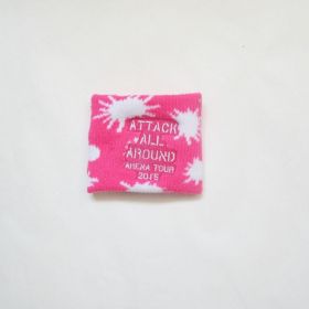AAA(トリプルエー) AAA ARENA TOUR 2015 10th Anniversary -Attack All Around- リストバンド(桃)