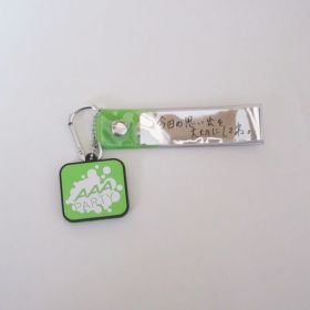 AAA(トリプルエー) AAA ARENA TOUR 2016 -LEAP OVER- 銀テープホルダー(緑)