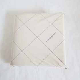 ポルノグラフィティ(porno) 東京ロマンスポルノ'09?愛と青春の日々? パンフレット(LIVE PHOTO BOOK)