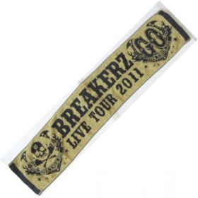 BREAKERZ(ブレイカーズ) LIVE TOUR 2011 GO マフラータオル