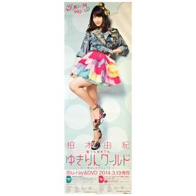AKB48(エーケービー) ポスター ゆきりんワールド 2014