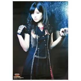 アンジュルム(スマイレージ) ポスター スマイレージLIVE 2014夏FULL CHARGE ピンナップポスター 田村芽実