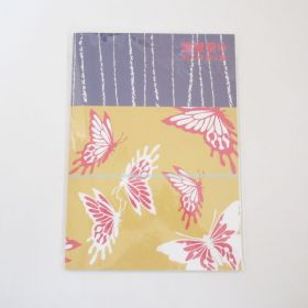 渡辺美里(MISATO) その他 パンフレット(美里祭り2009 輝く夏)