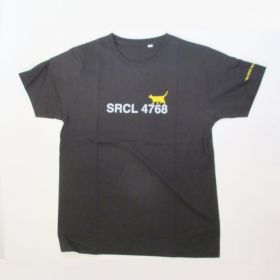 ポルノグラフィティ(porno) Tour 08452 ～Welcome to my heart～ Tシャツ(ロマンチストエゴイスト)