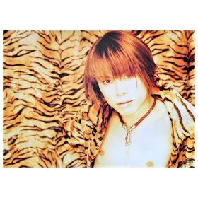 T.M.Revolution(西川貴教) ポスター wild rush 1999