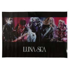 LUNA SEA(ルナシー) ポスター 2011年4月　映像作品　特典