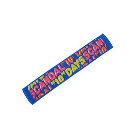 SCANDAL(スキャンダル) LIVE HOUSE "10"DAYS 10Days マフラータオル(BLUE)