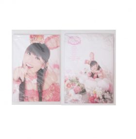 田村ゆかり(ゆかりん) LOVE LIVE 2012 *I Love Rabbit* パンフレット