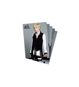 Acid BREAKERZ Cherry 69-sixnine- ポストカードB