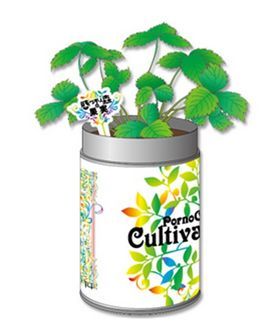 ポルノグラフィティ “神戸・横浜ロマンスポルノ’14” “惑ワ不ノ森の果実”栽培キット