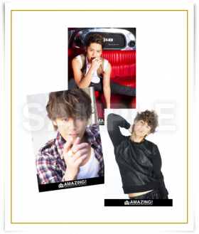 L版生写真3枚セット C