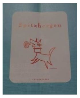 スピッツ(spitz)  ファンクラブ会報 Spitzbergen vol.006