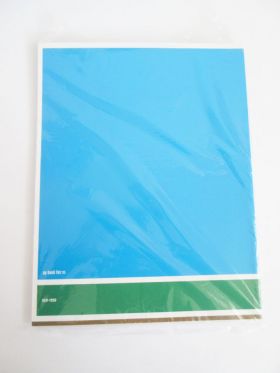 Mr.Children(ミスチル) ap bank fes'05 パンフレット