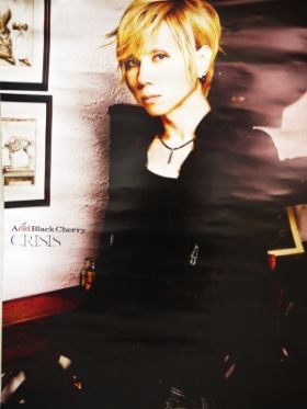 Acid Black Cherry / CRISIS 購入特典ポスター