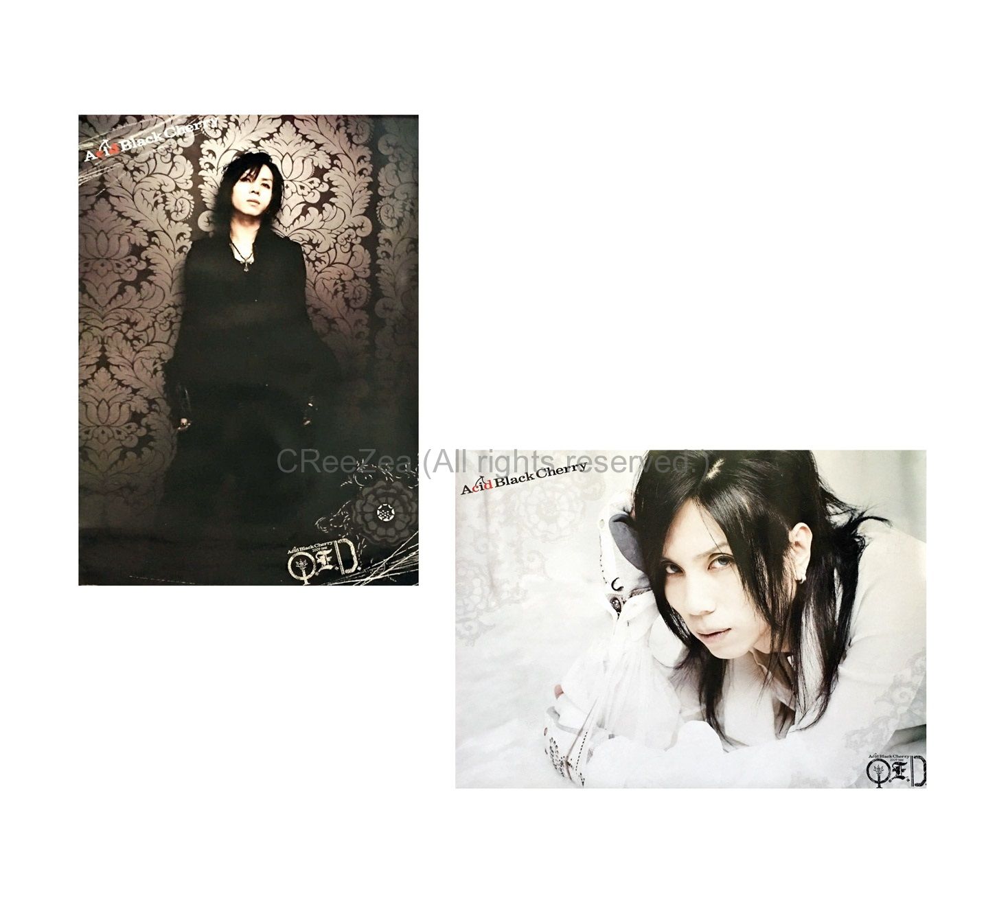 Aci Black Cherry Q.E.D. アルバムポスター　その② Q.E.D.(A) : Acid Black Cherry | HMV&BOOKS online - AVCD-32149