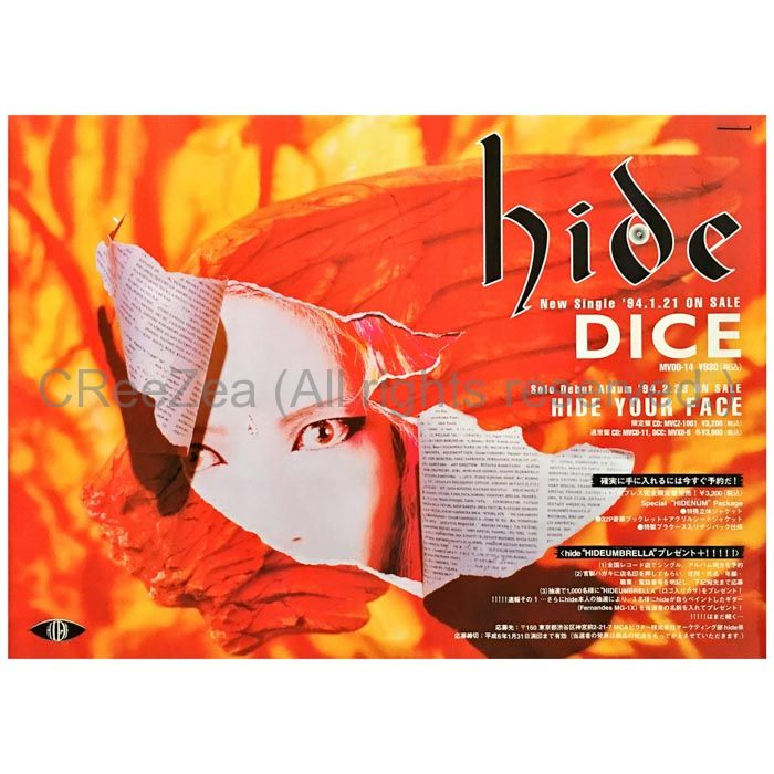 hide DICE レコード