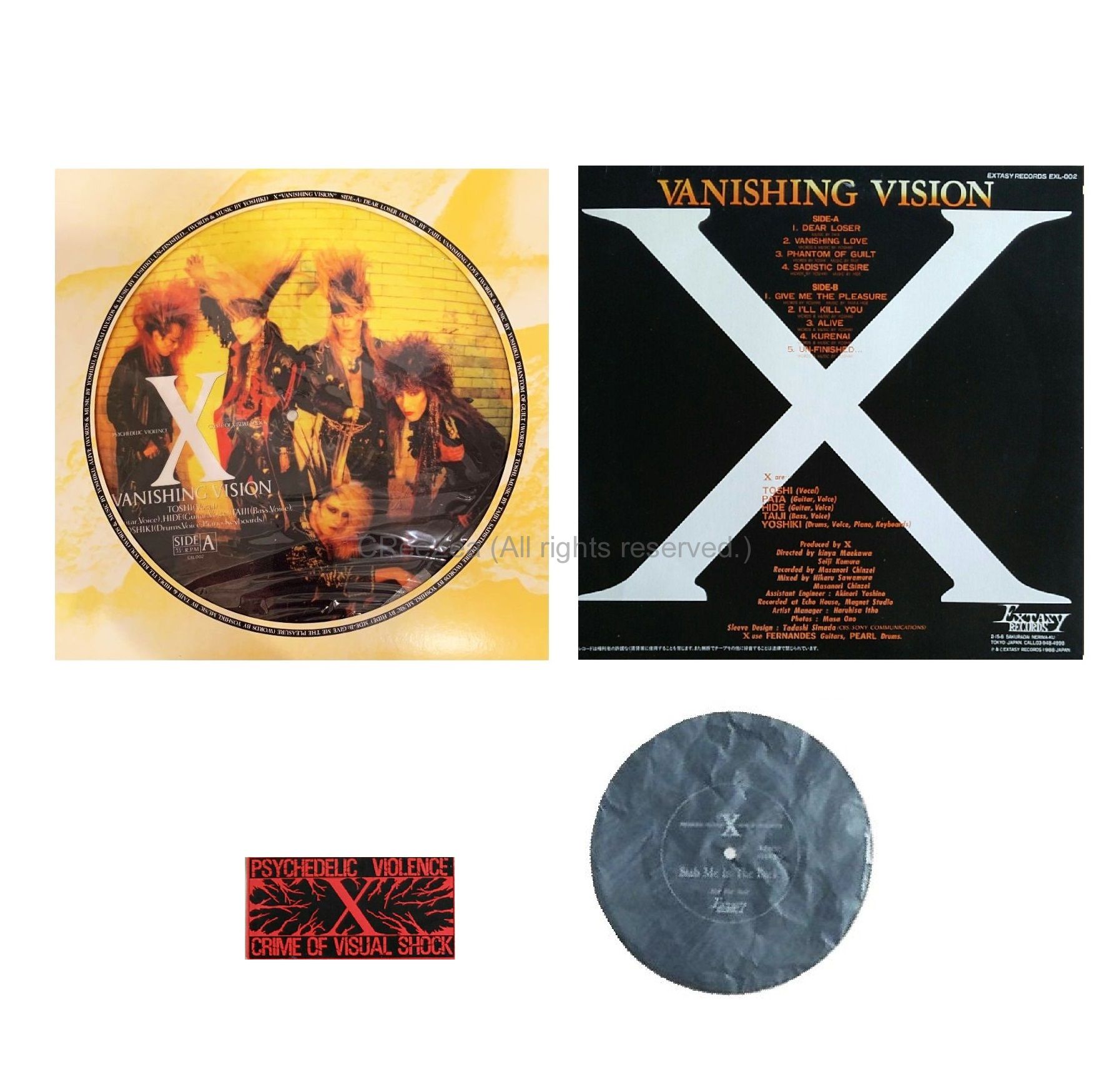 X（X JAPAN）VANISHING VISION LPレコード-silversky-lifesciences.com