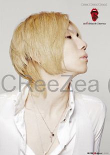 買取】Acid Black Cherry/「Greed Greed Greed」オリジナルクリア ...