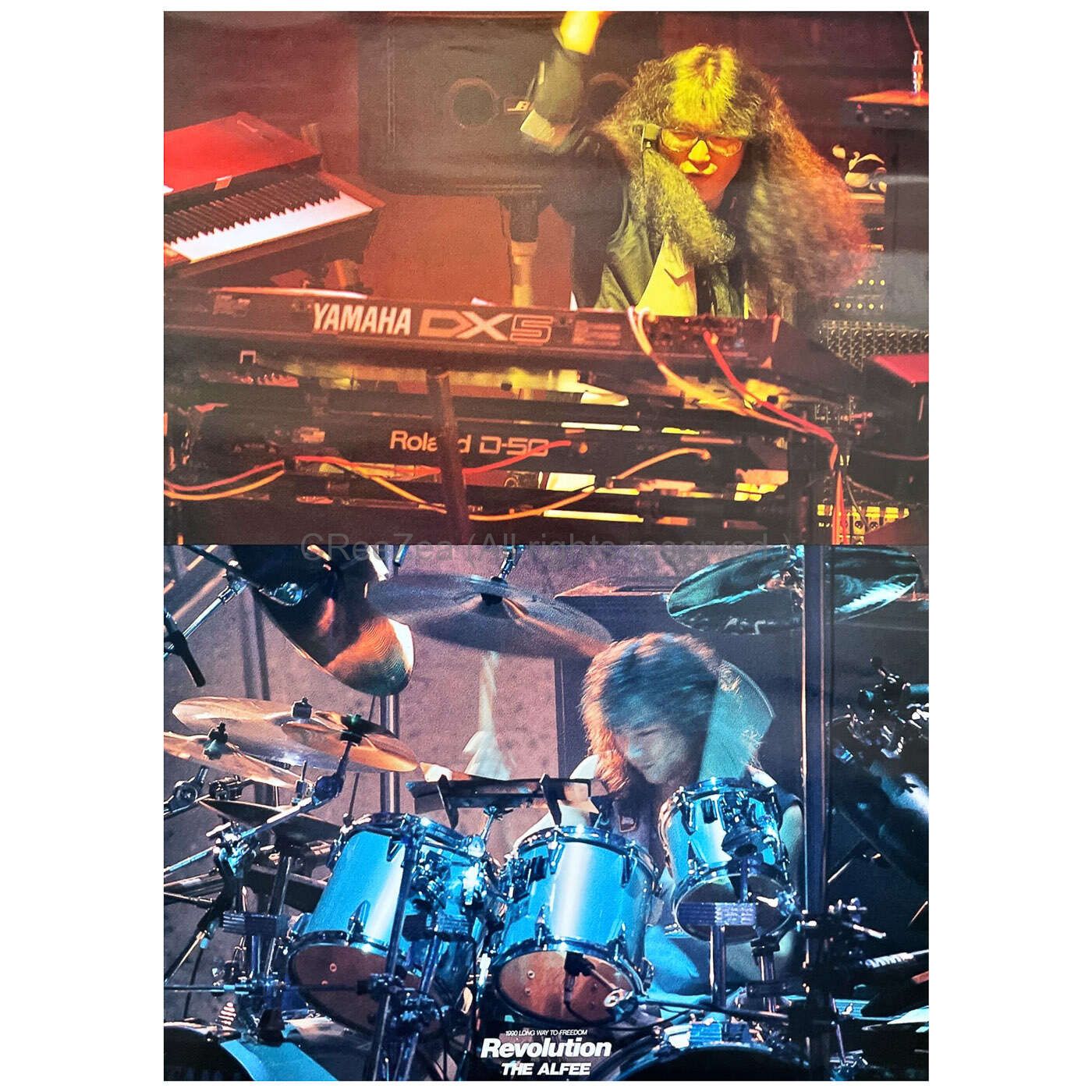 Revolution Ⅱ THE ALFEE DVD THE ALFEE RevolutionⅡ DVD