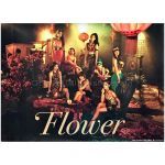 E-girls(イー・ガールズ) ポスター flower 熱帯魚の涙 2014 購入特典