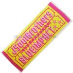 三代目 J Soul Brothers(JSB) LIVE TOUR 2014 BLUE IMPACT スポーツタオル プラモシリーズ