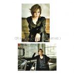 acid black cherry(abc) ポスター クリアPP加工両面ポスターB アルバム L ファンクラブ購入特典